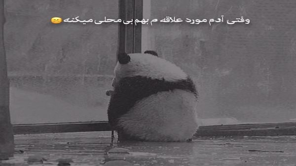 سر دست یارم ای خدا مخمل طوسی صدای زن